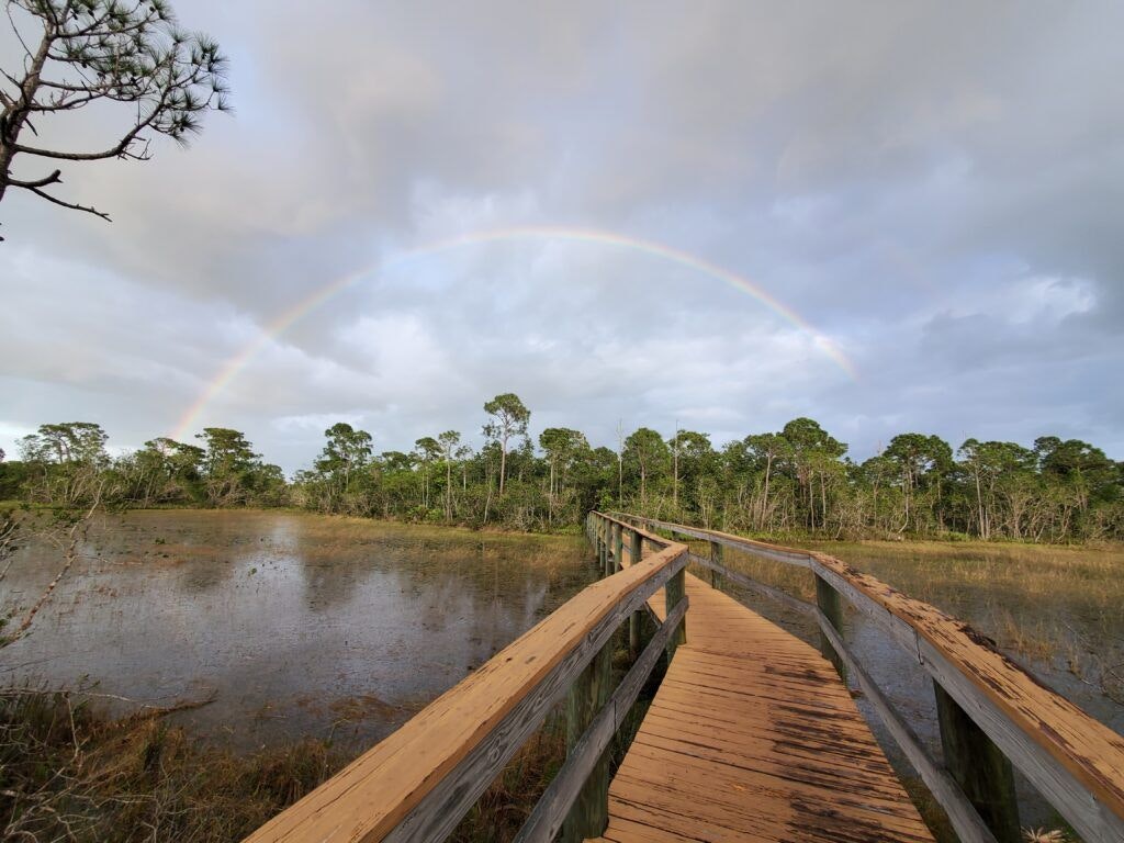 spruce-bluff-preserve-002