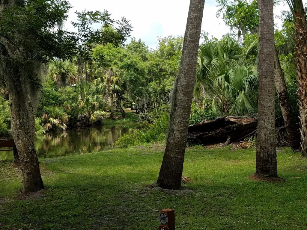 ten-mile-creek-preserve-004