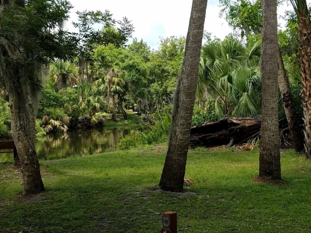 ten-mile-creek-preserve-004