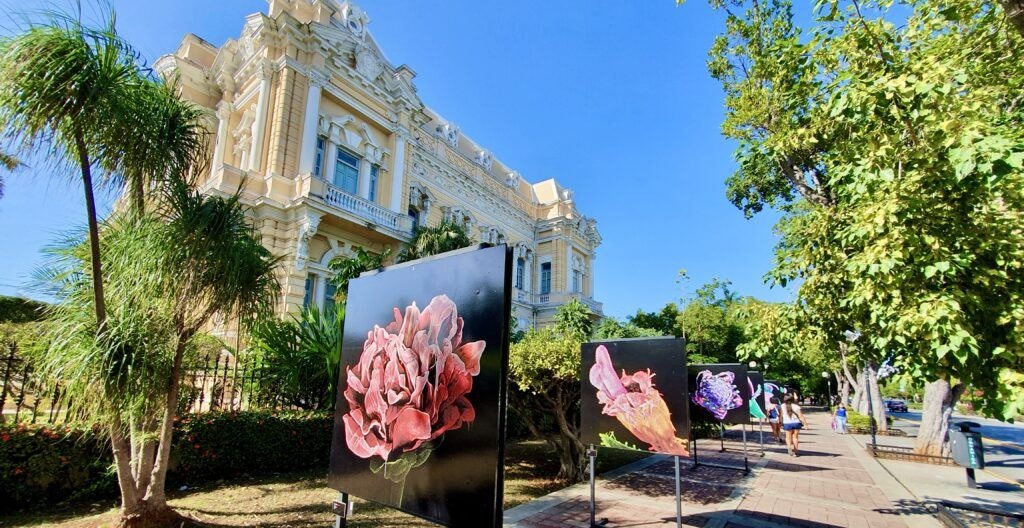 museo-regional-de-antropologia-001