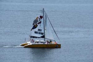 sail-wild-hearts-002