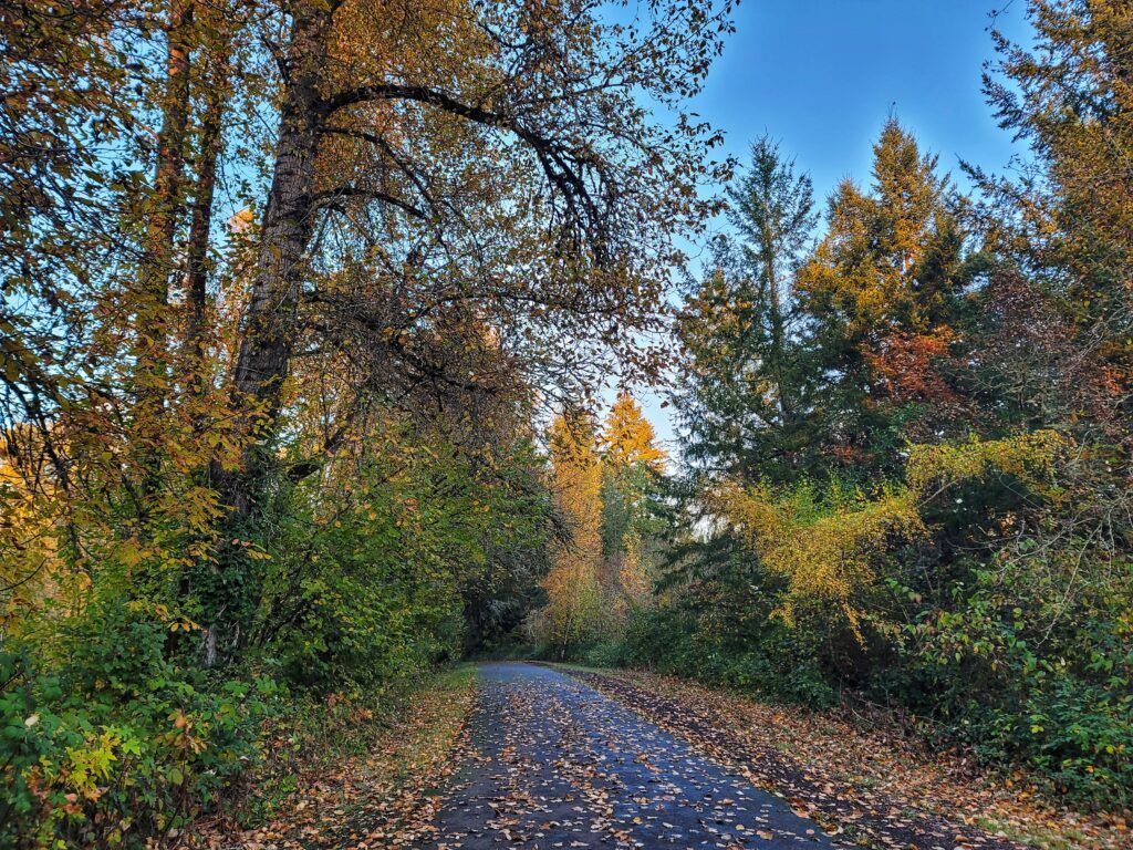 minto-brown-island-park-006