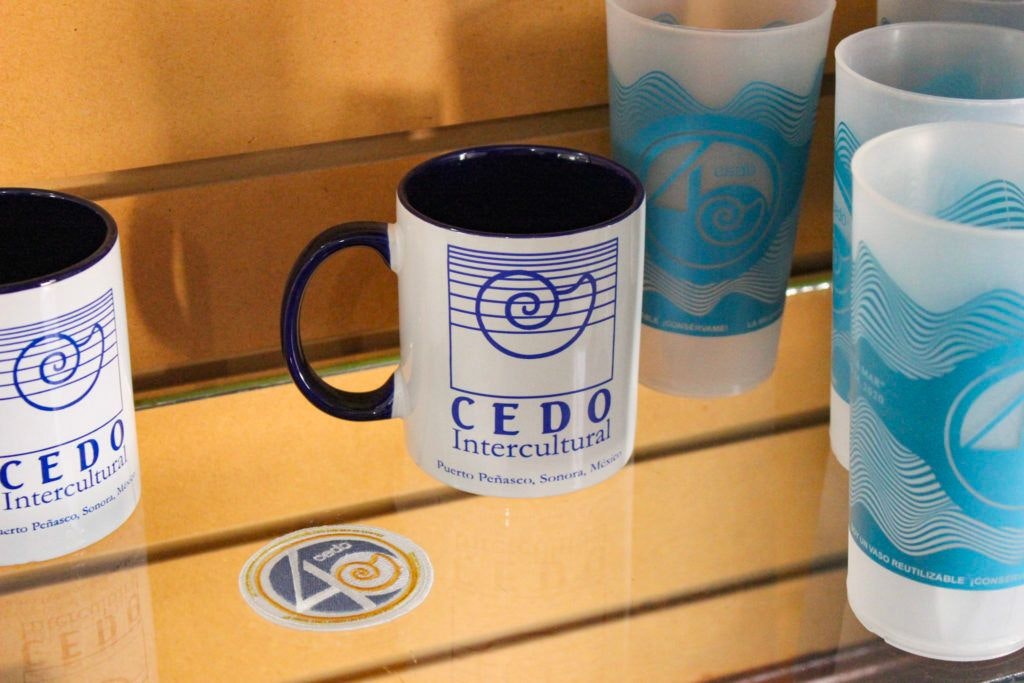 cedo-intercultural-center-for-the-study-of-deserts-and-oceans-029