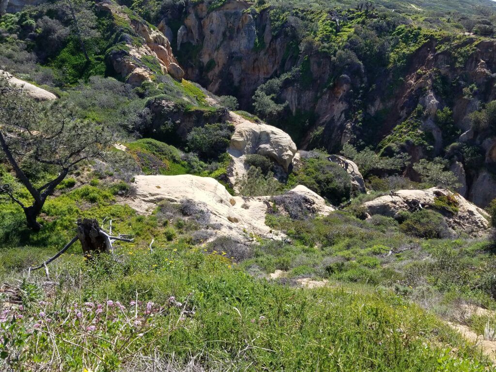 Torrey Pines State Natural Reserve