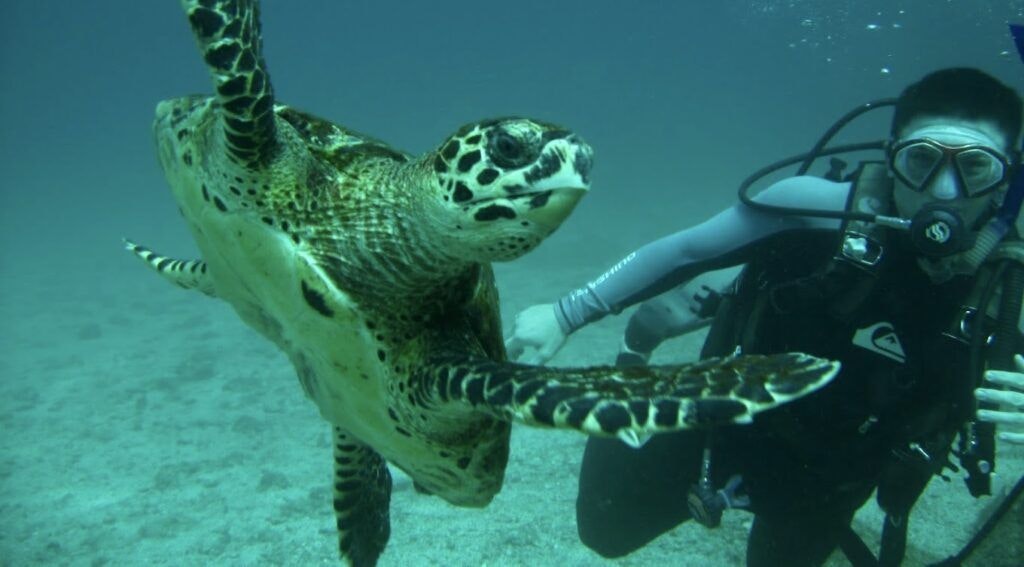 loreto-sea-and-land-tours-001