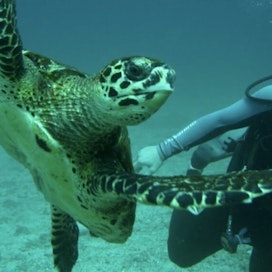 Loreto Sea & Land Tours