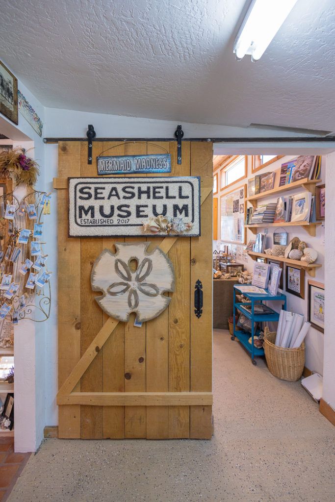 the-seashell-museum-and-sea-debris-shop-010
