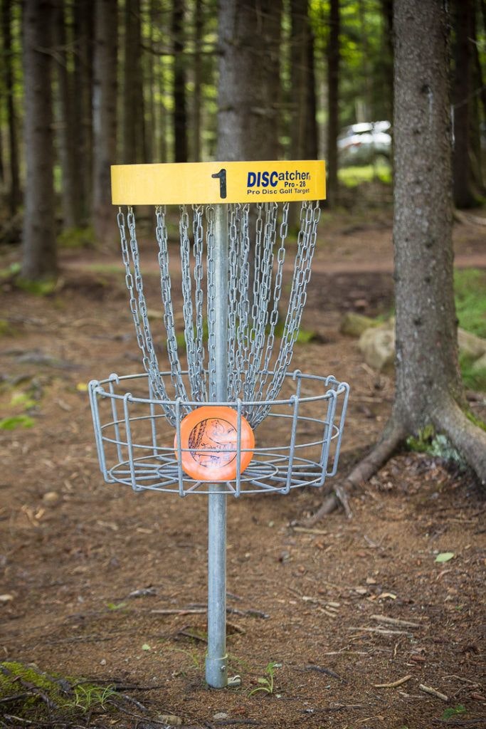 fairy-diddle-disc-golf-010