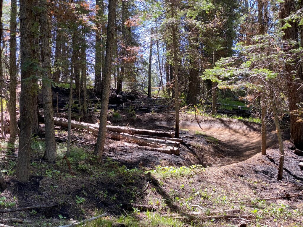 Bear Basin Trailhead