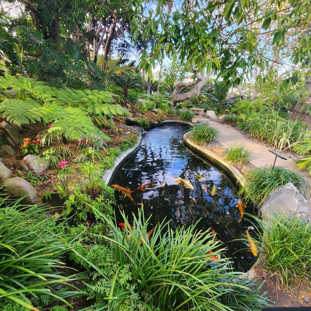 self-realization-fellowship-meditation-gardens-004