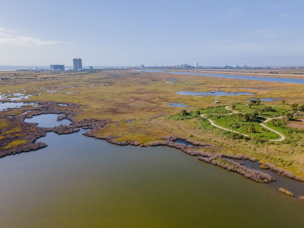 east-end-lagoon-nature-preserve-galveston-008
