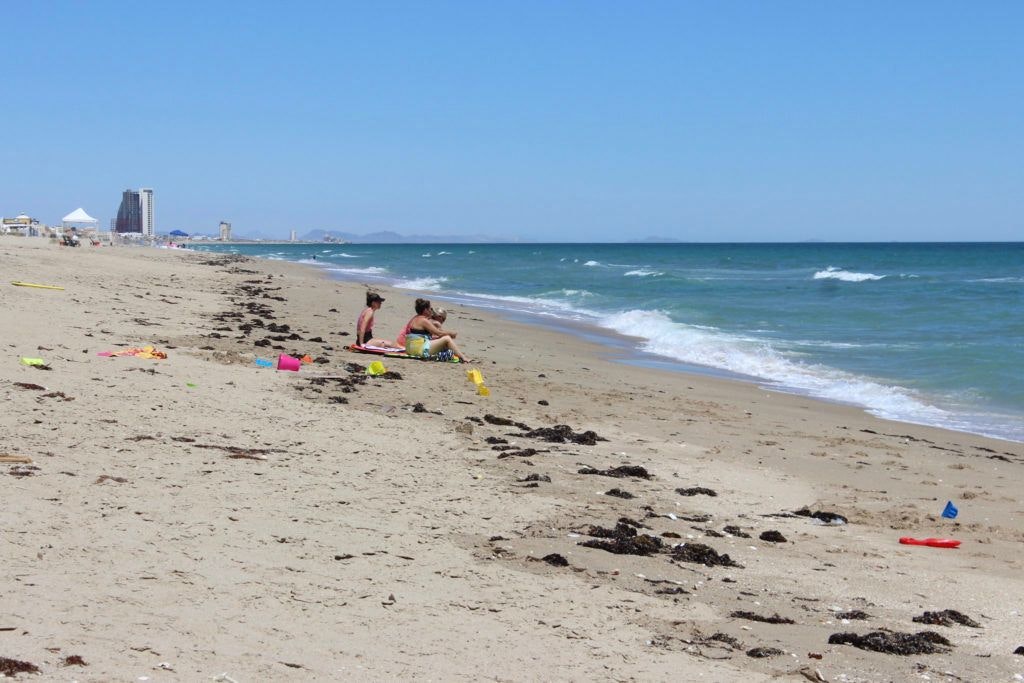 la-jolla-beach-playa-la-jolla-013