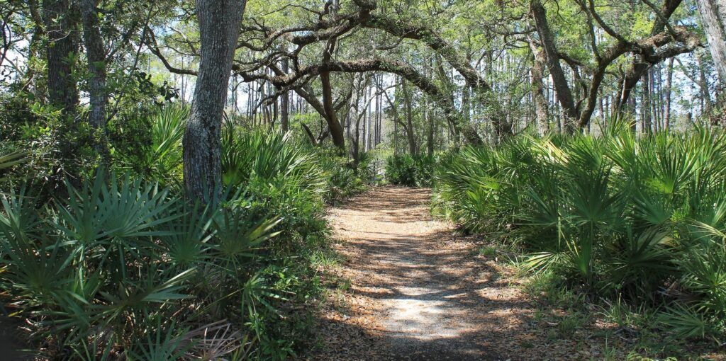 guana-tolomato-matanzas-national-estuarine-research-reserve-003