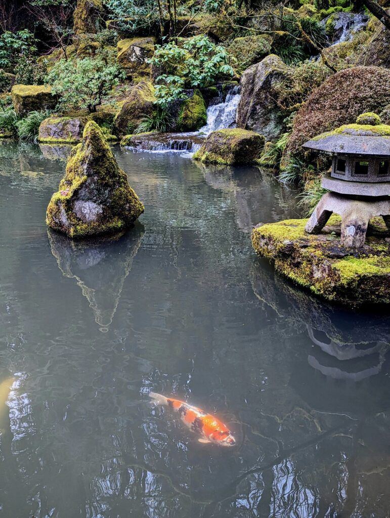 portland-japanese-garden-004