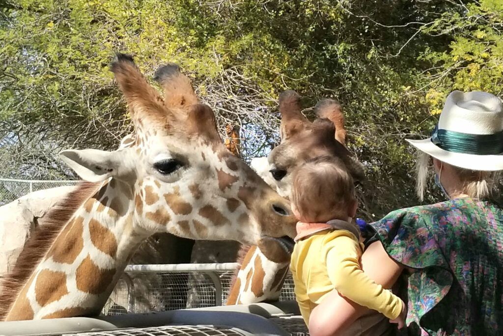 the-living-desert-zoo-and-gardens-004