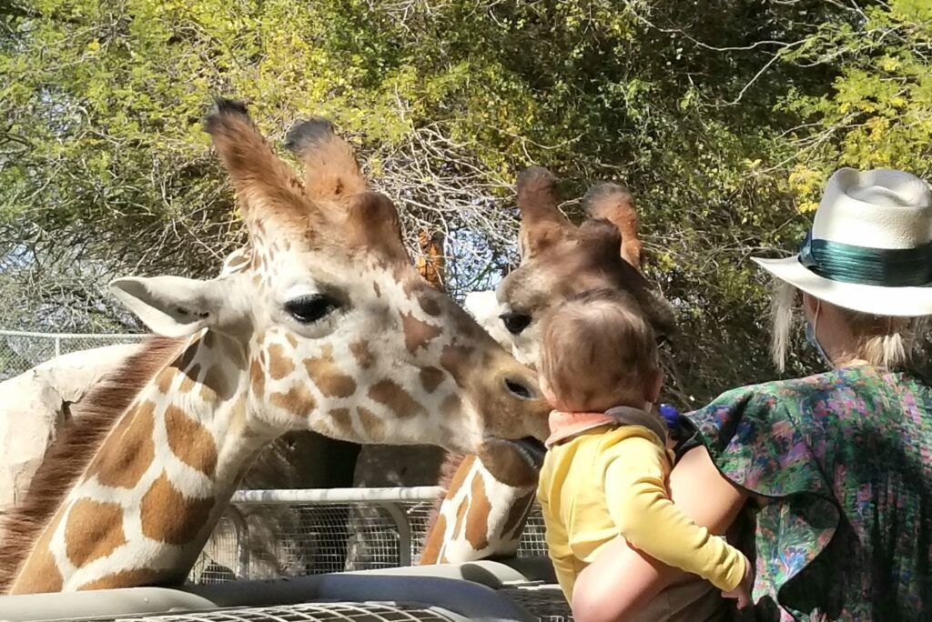 the-living-desert-zoo-and-gardens-004