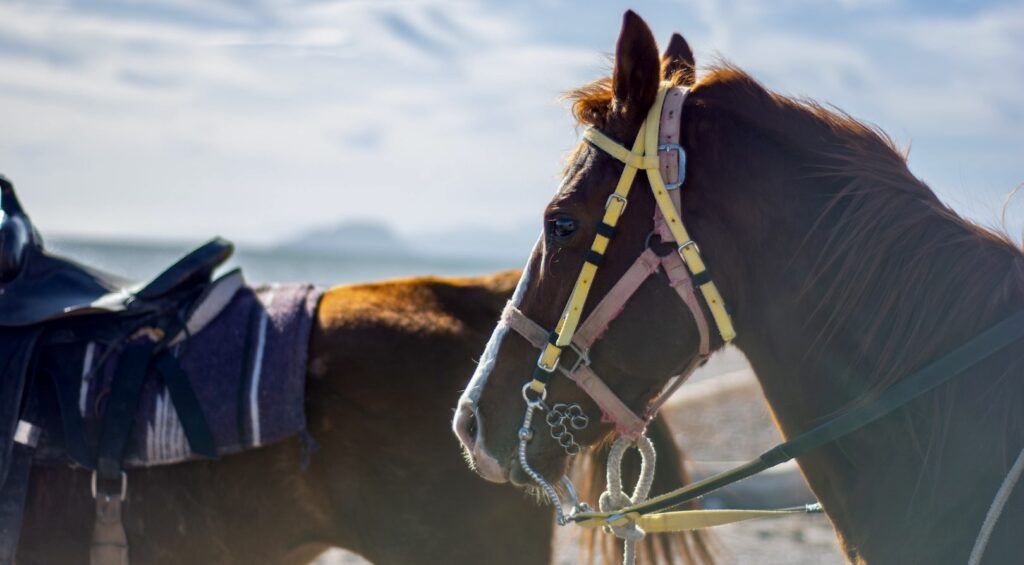 wild-loreto-tours-003