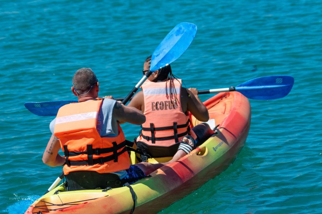 bird-island-isla-san-jorge-015