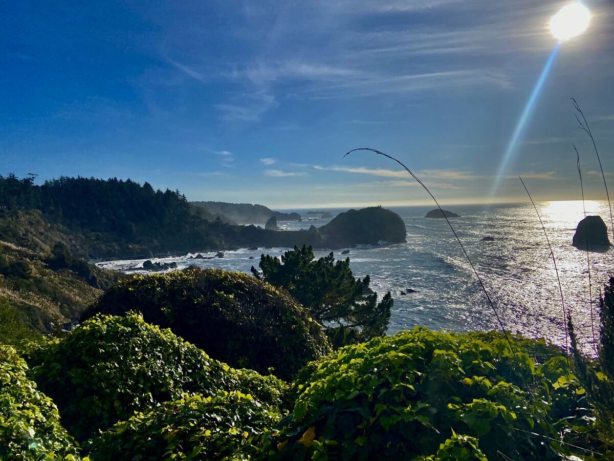 What's a recommended itinerary when visiting the Redwoods in California?