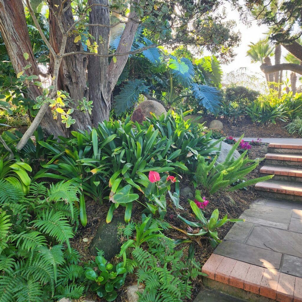 self-realization-fellowship-meditation-gardens-003