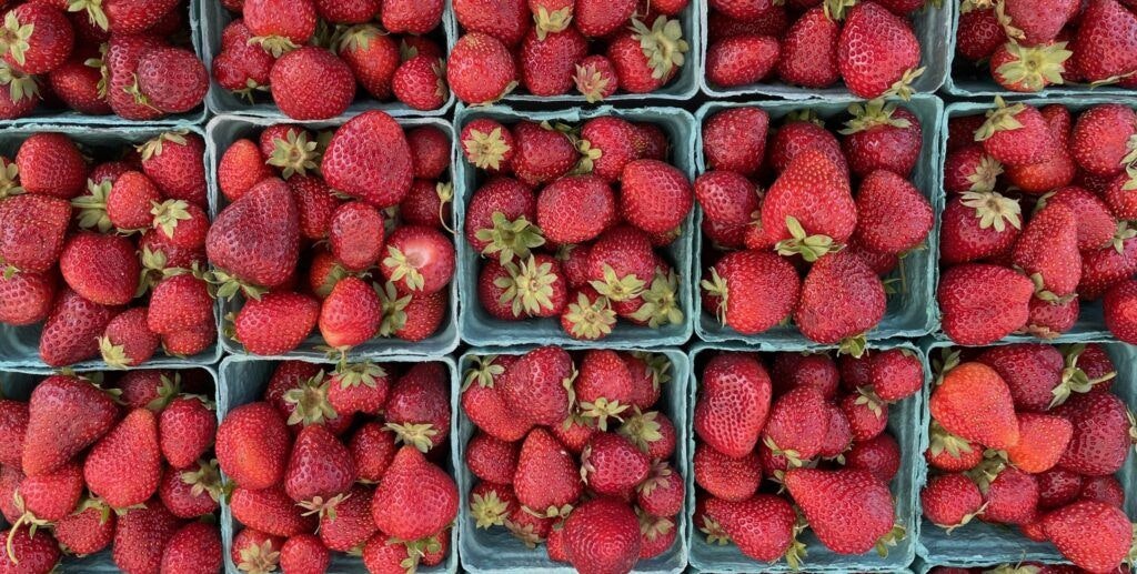 cannon-beach-farmers-market-002
