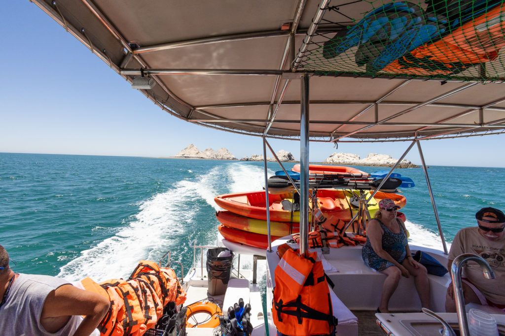 bird-island-isla-san-jorge-039