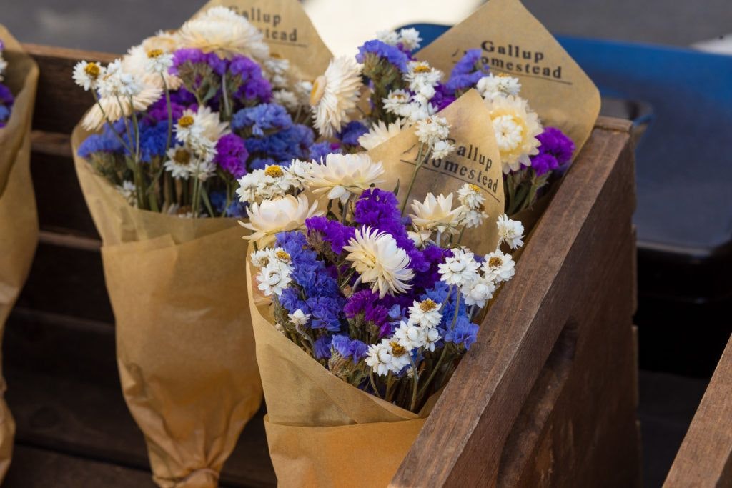 arcata-plaza-farmer-s-market-018