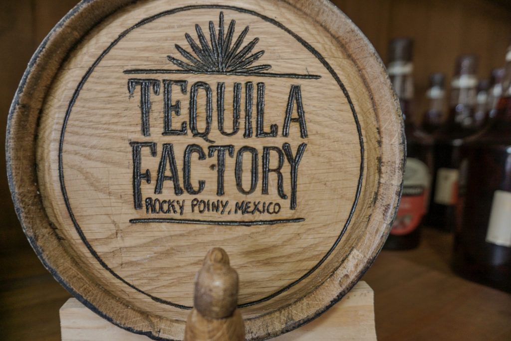 tequila-factory-002