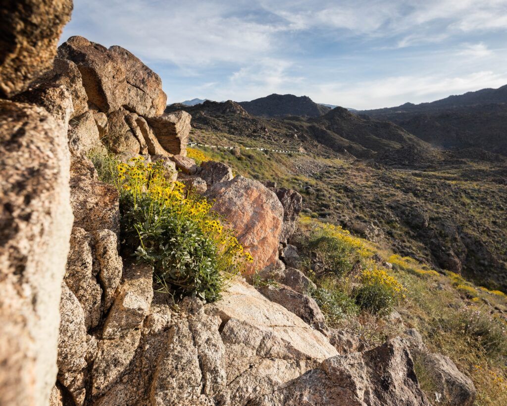 coachella-valley-vista-point-002