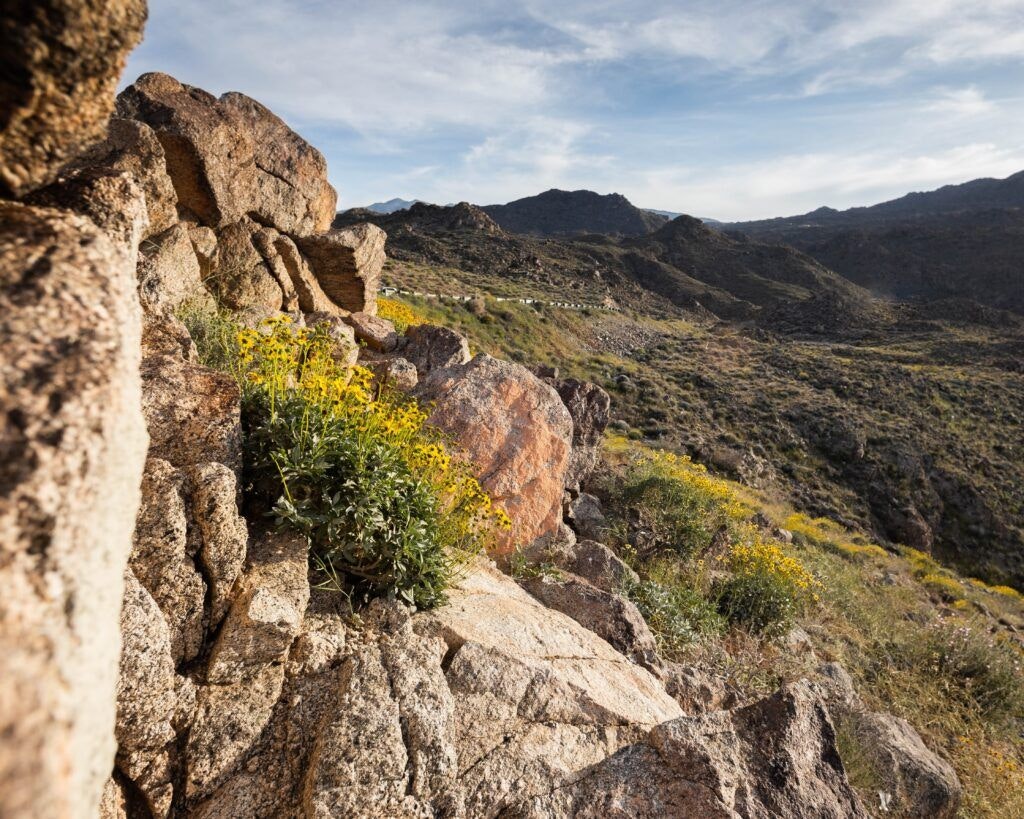 coachella-valley-vista-point-002