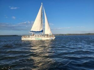 cetacean-cruises-001