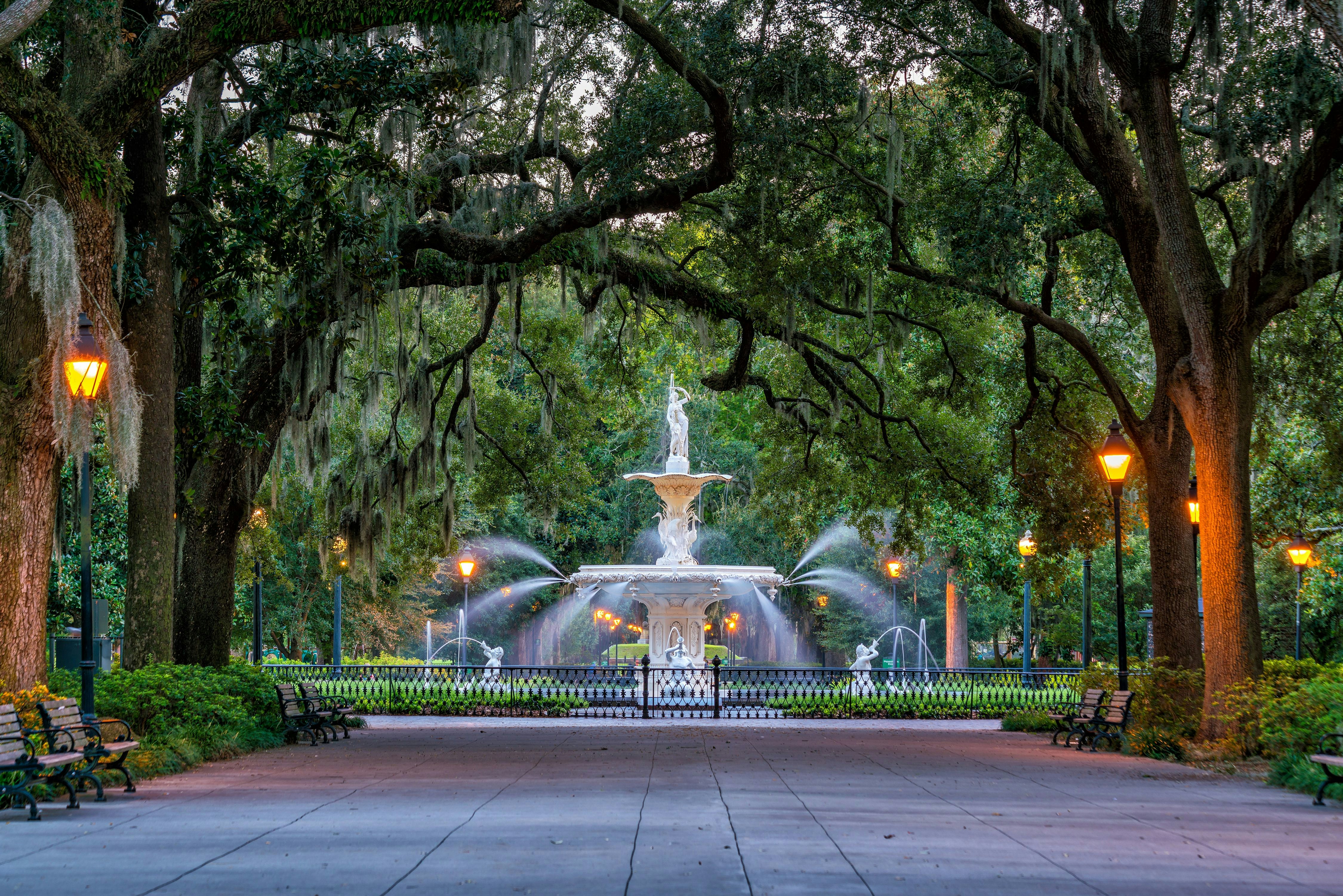 Savannah-AdobeStock_122991799.jpeg