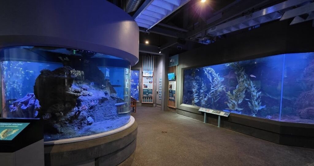 oregon-coast-aquarium-004