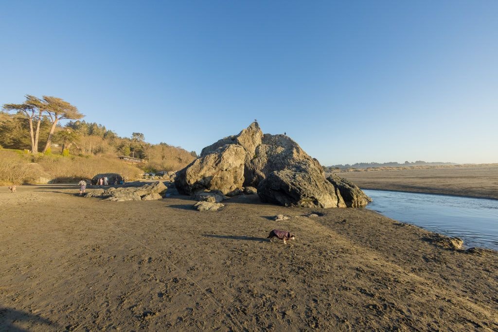 moonstone-beach-county-park-005