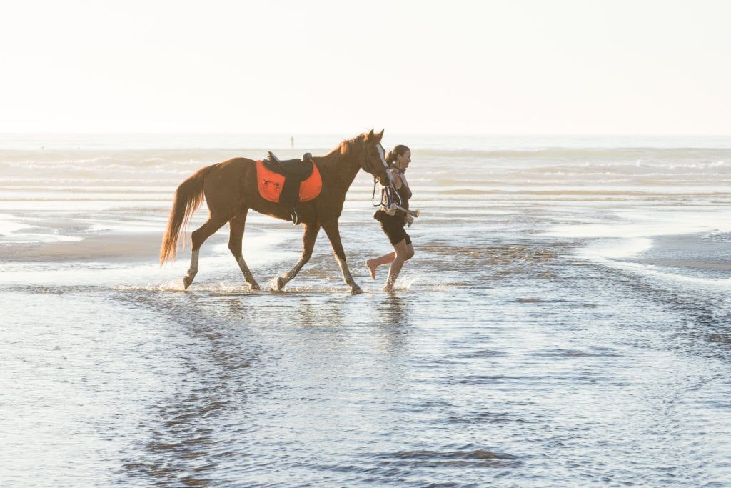 moonstone-beach-county-park-010