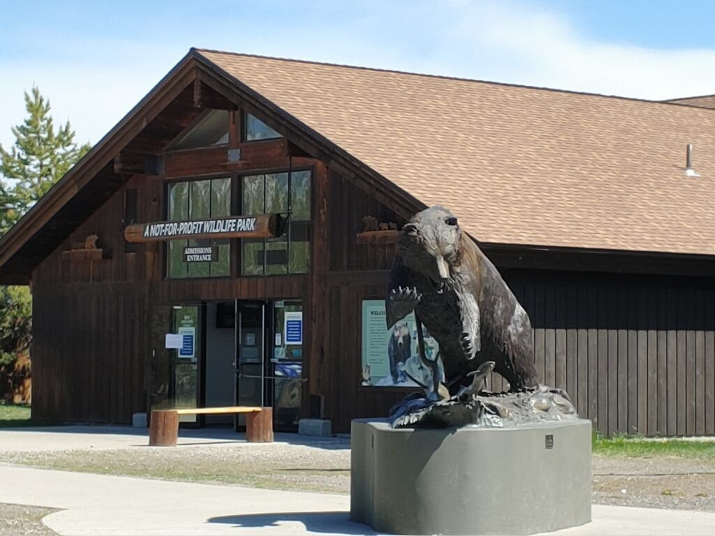 grizzly-and-wolf-discovery-center-001