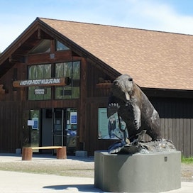 Grizzly & Wolf Discovery Center