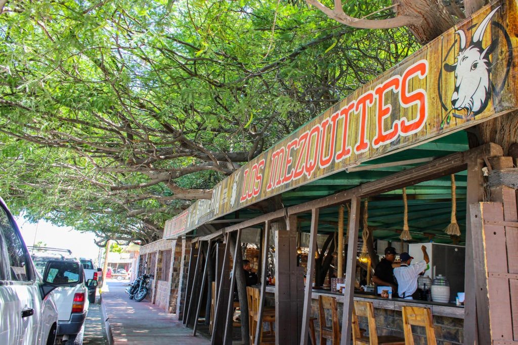 birrieria-los-mezquites-006