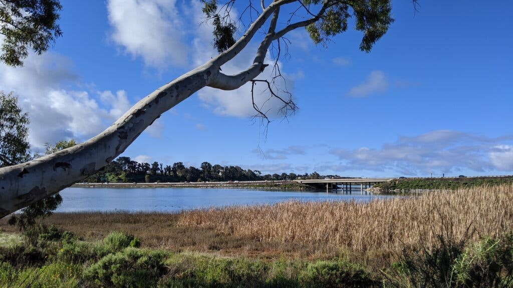 batiquitos-lagoon-foundation-002