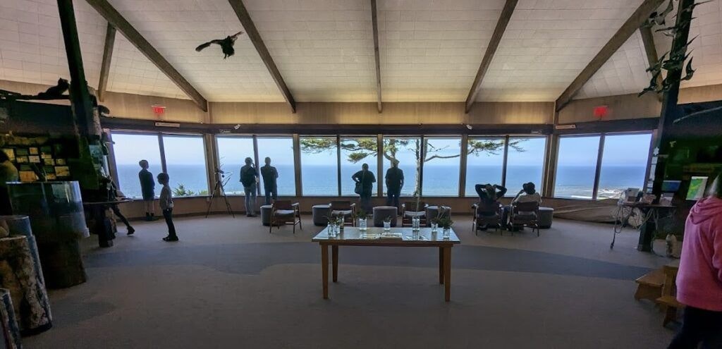 cape-perpetua-scenic-area-002