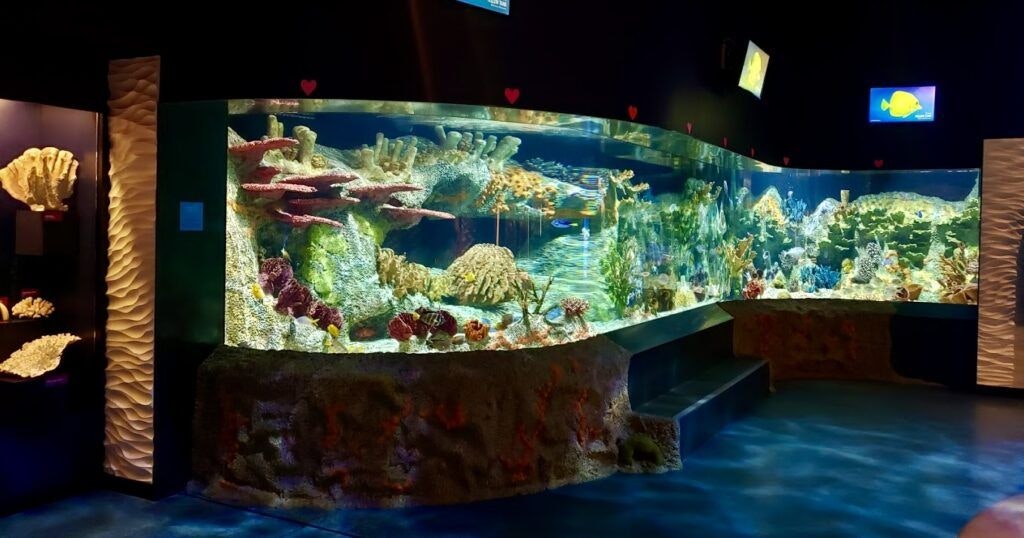 cook-museum-of-natural-science-004