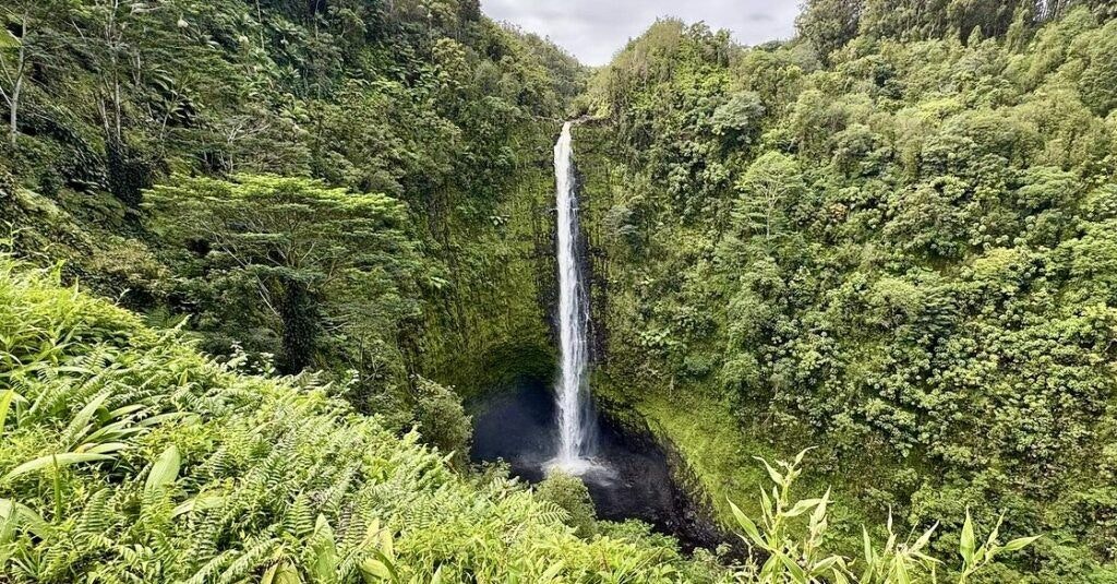 akaka-falls-state-park-001