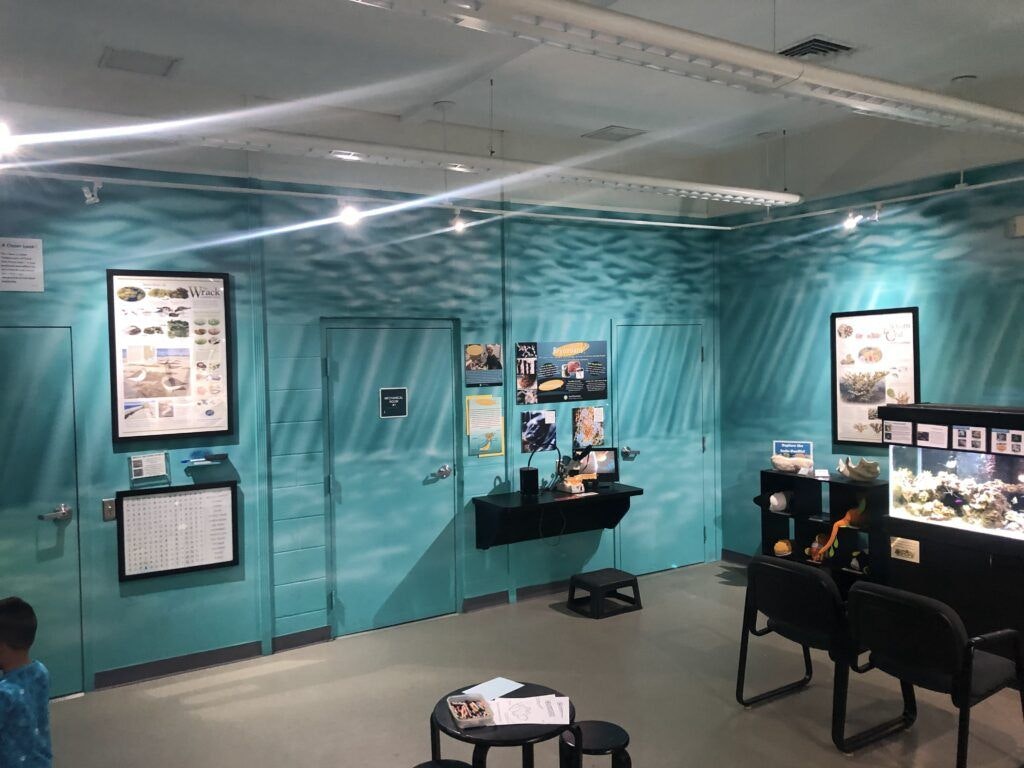 st-lucie-county-aquarium-003