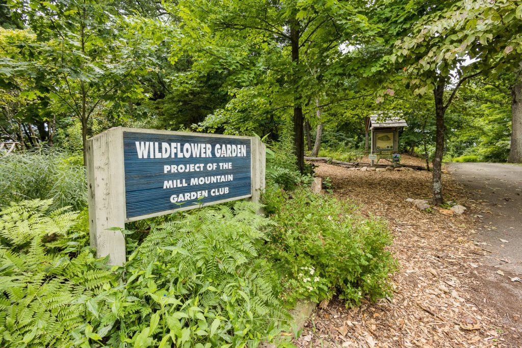 mill-mountain-wildflower-garden-008