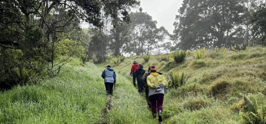 hakalau-forest-national-wildlife-refuge-004