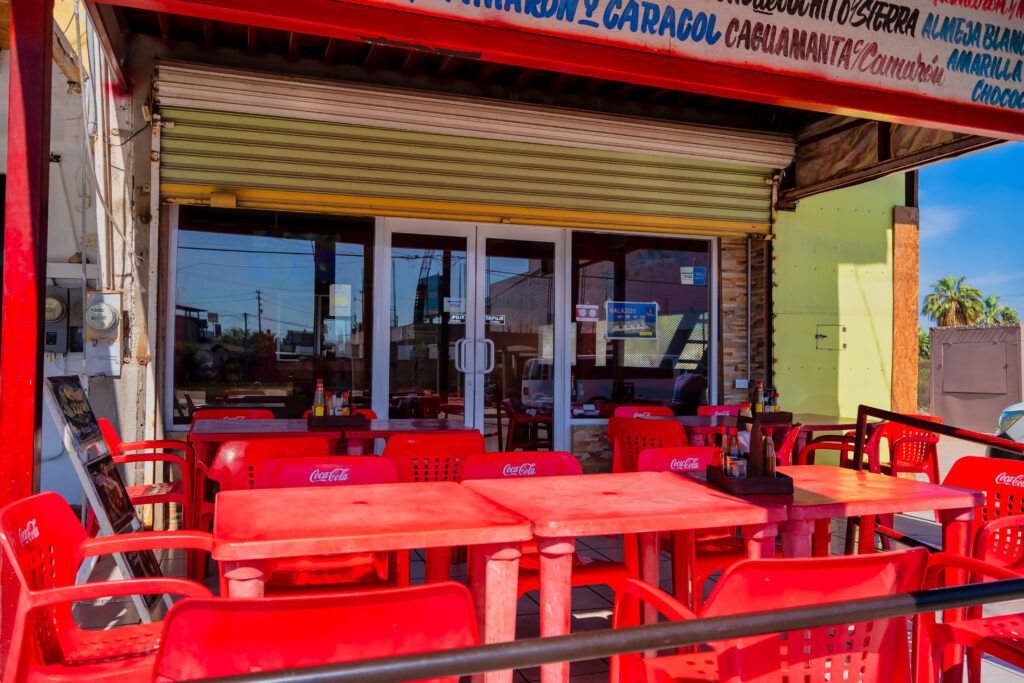 el-calamar-gigante-011