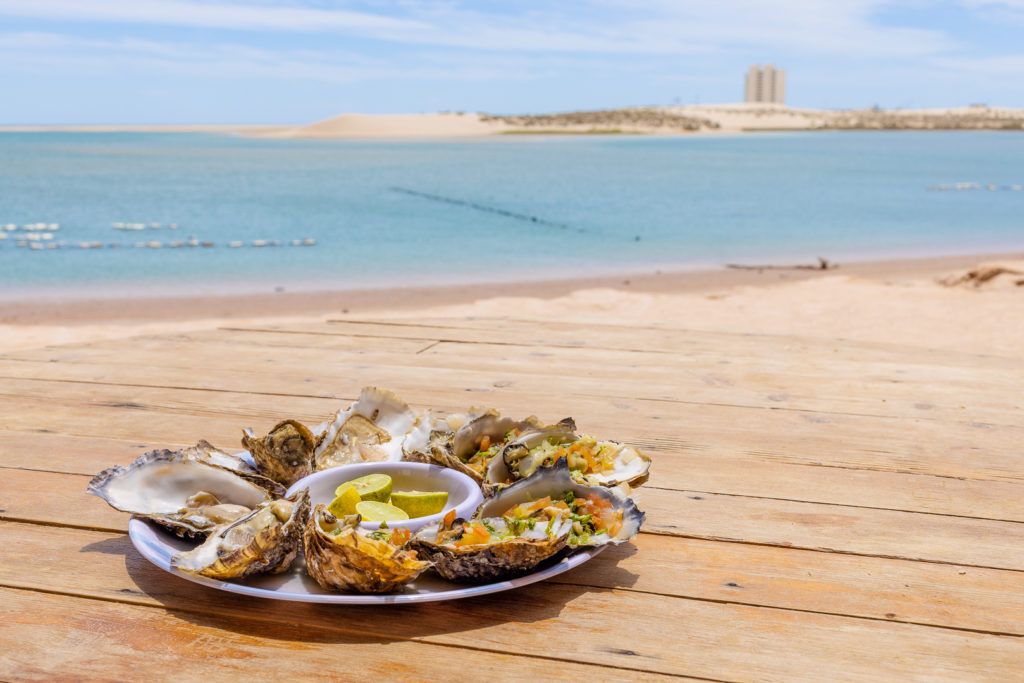 el-barco-ostionera-y-restaurante-oyster-farm-015