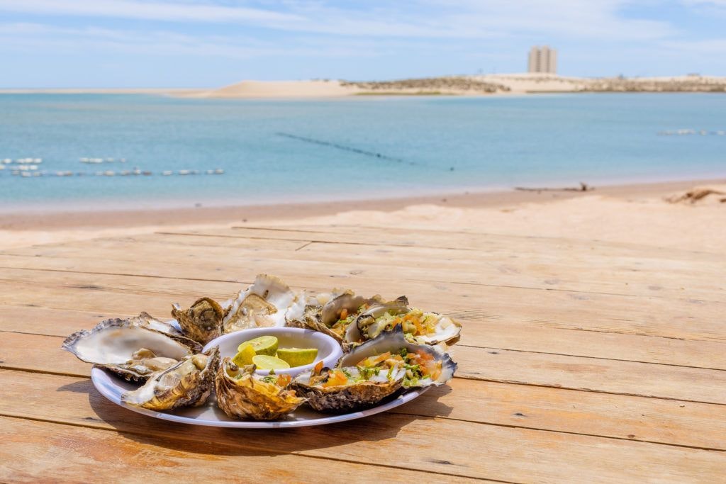 el-barco-ostionera-y-restaurante-oyster-farm-015