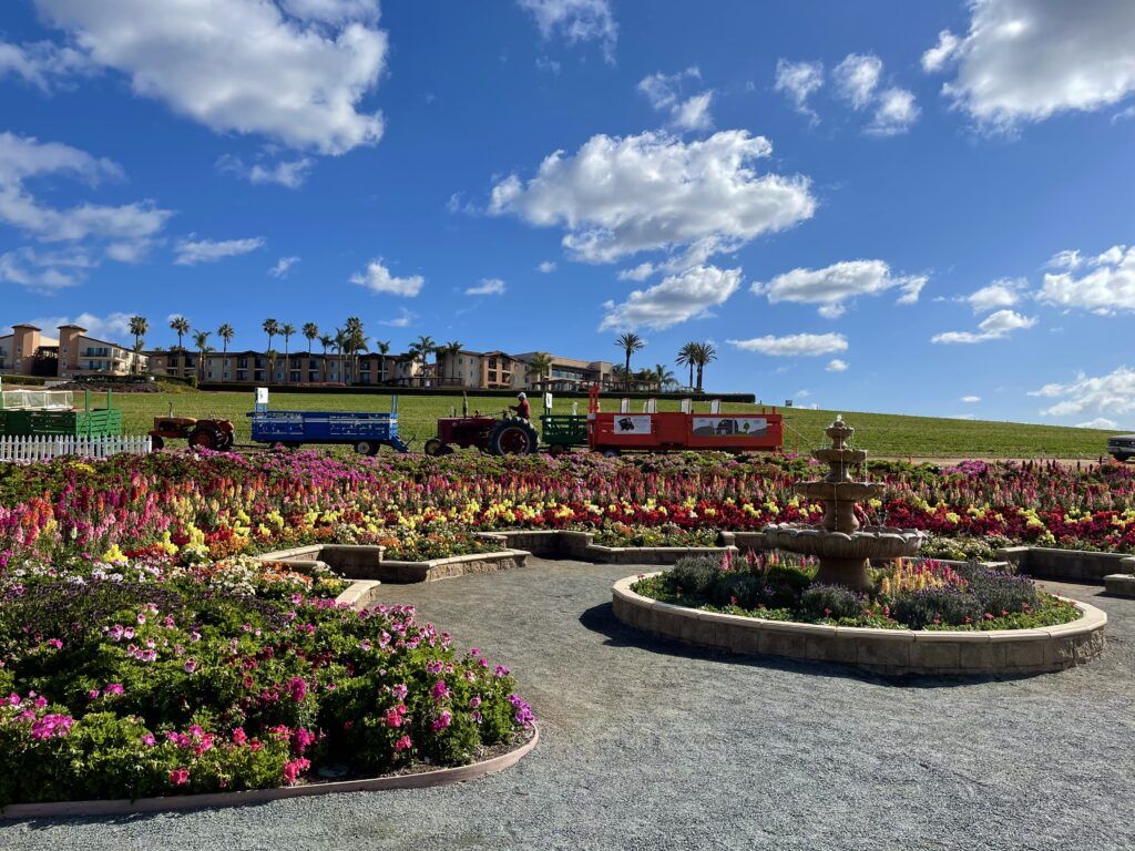 the-flower-fields-004