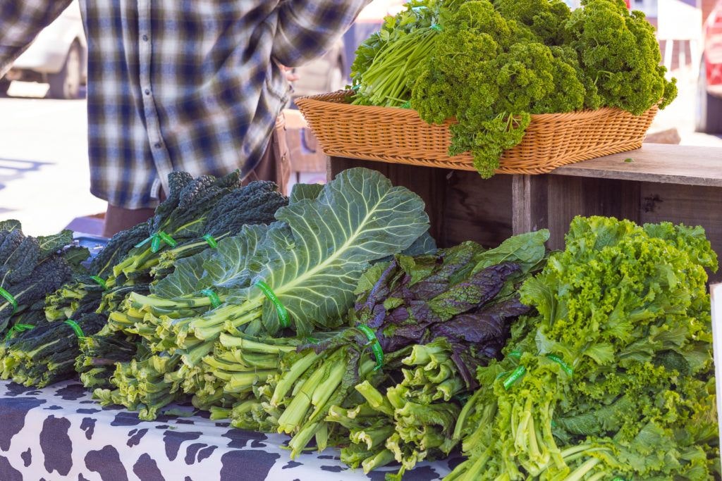 arcata-plaza-farmer-s-market-010